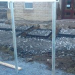 Week 6